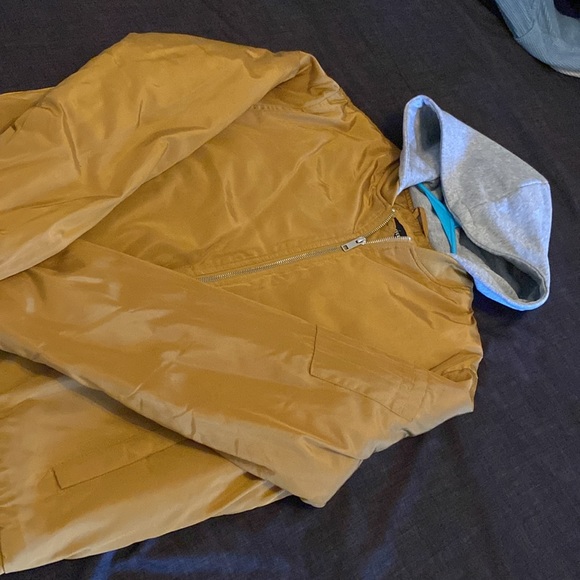 Yellowish Jacket - Picture 3 of 5